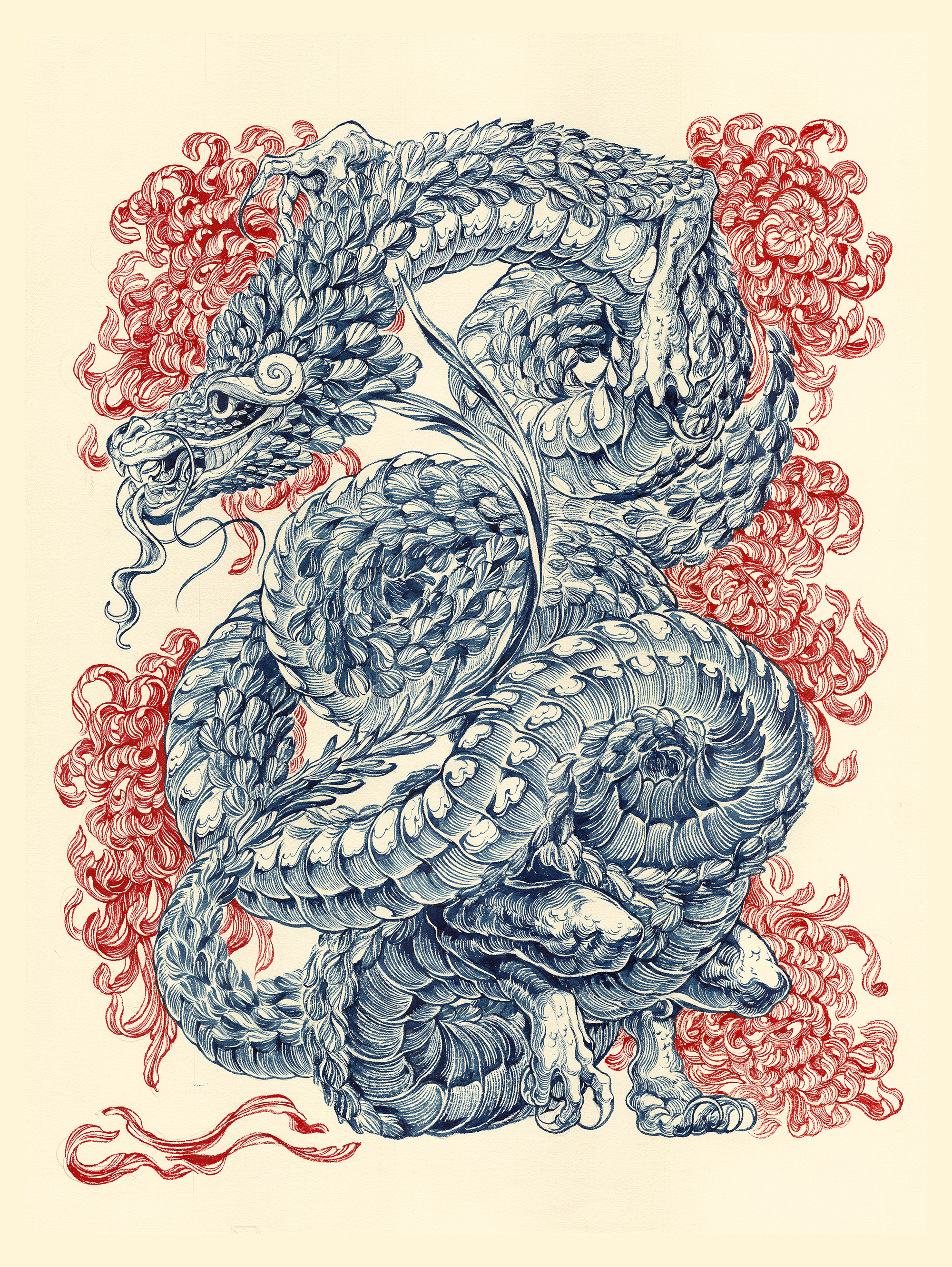 Copia+de+dragon.png